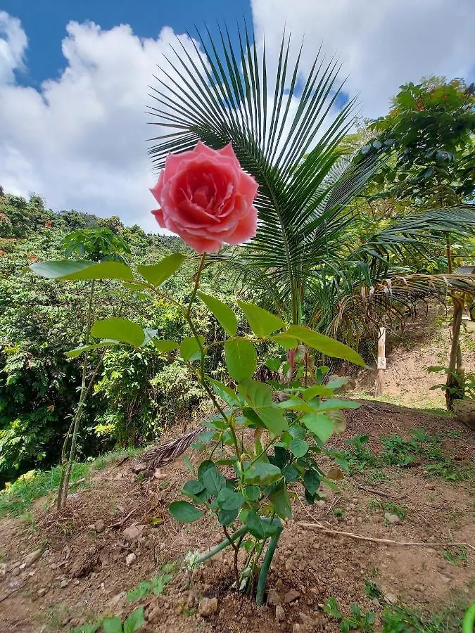 El Eden Patillas Ferienhaus